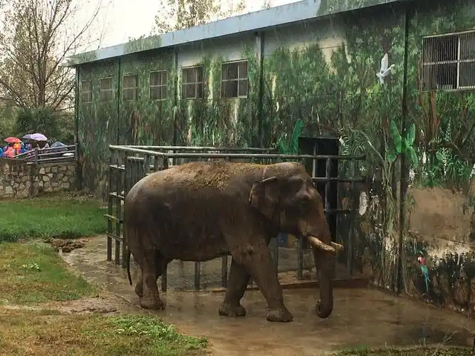 动物王国 欢乐天堂～西安秦岭野生动物园之旅