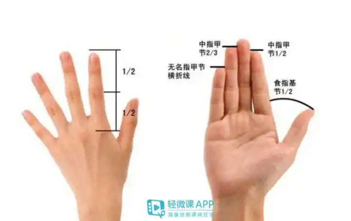 学画画如何画手_手指