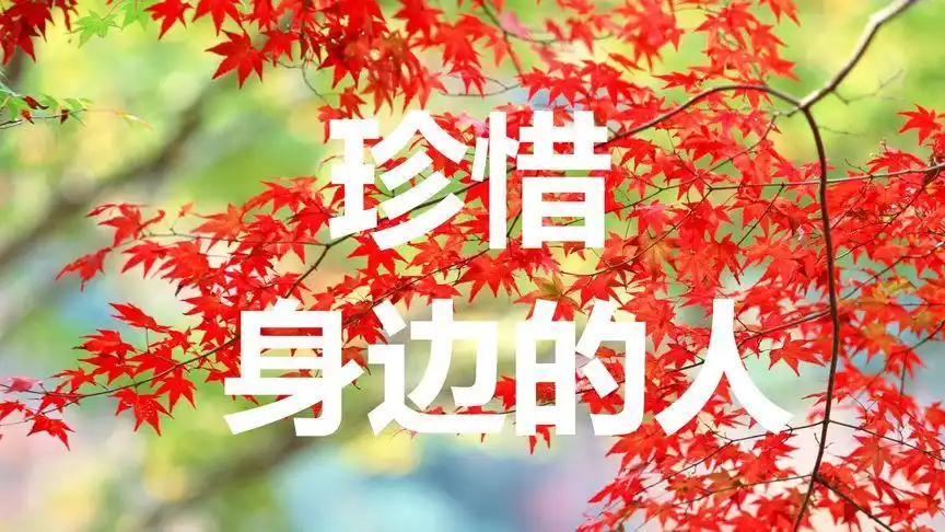 珍惜那些在乎你,你在乎的人,或许下辈子,再也不会遇见