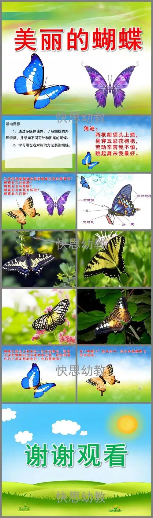 美丽的蝴蝶ppt课件教案图片