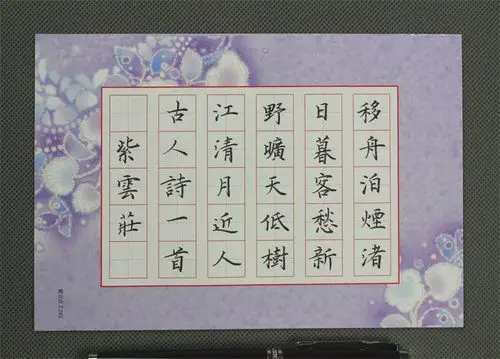 竖式书写效果作品纸207这个系列是学生版硬笔书法用纸,专为小学生而