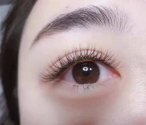 持久度好   价位美丽  两百多一点  就可以体验上门的便利#三叶草睫毛