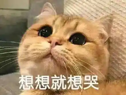 想想就想哭(猫咪)_猫咪_想想表情