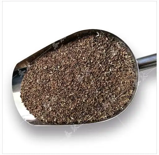 光杆茼蒿种子 5kg原装 四季易种小叶茼蒿种子 基地大面积蔬菜种籽