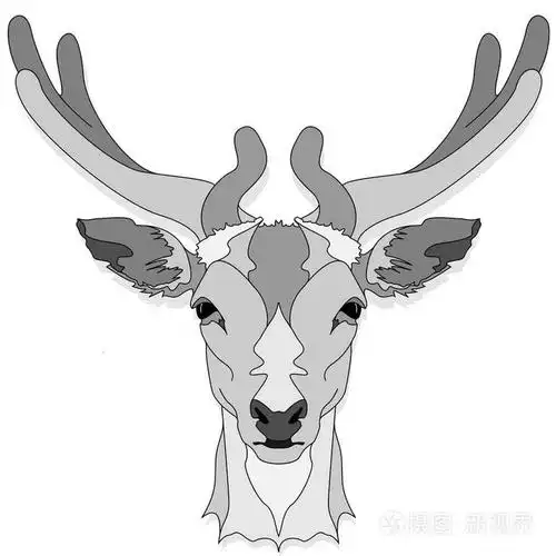 样式化鹿头矢量单色插图在白色背景插画-正版商用图片