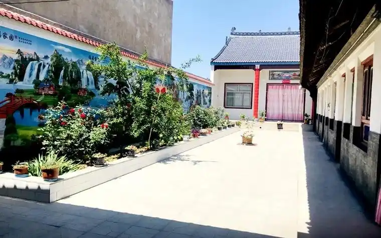 陕西合阳:党建引领乡村振兴"新"发展