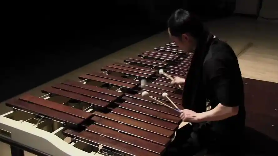 马林巴演奏野蜂飞舞 pius cheung - flight of the bumblebee