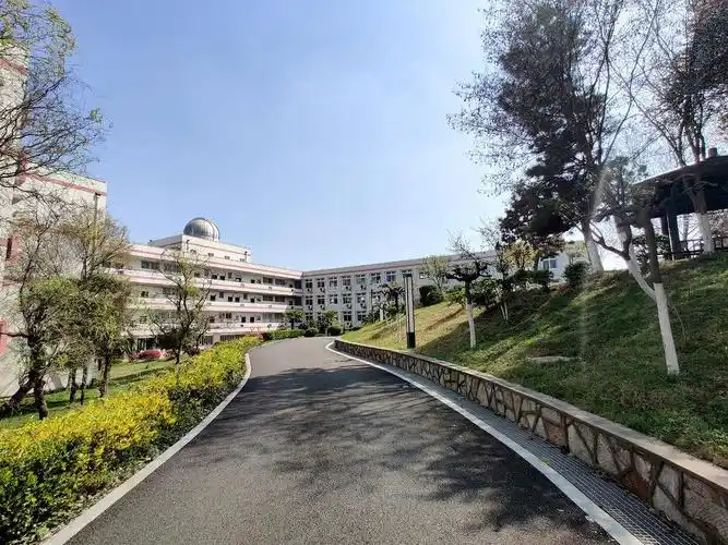 南京市雨花台中学:春风化雨 这所学校让人心生向往