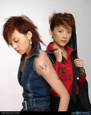 蓝狐组合手臂的纹身图片