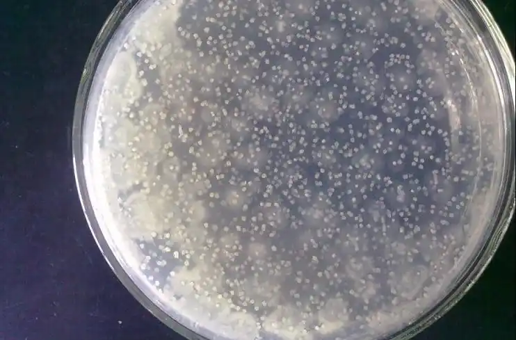 食品与环境检测