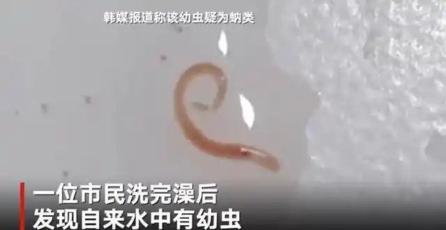韩国自来水出现寄生虫,生活用水隐患重重,如何才能有所保障?