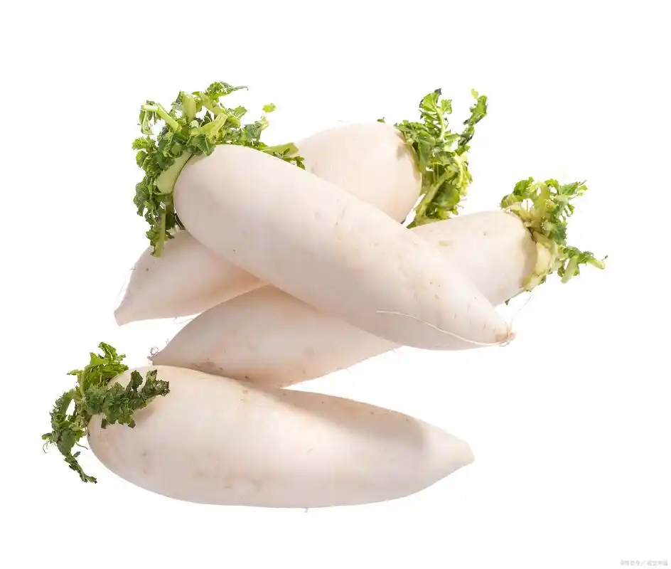 为什么秋冬多吃萝卜?