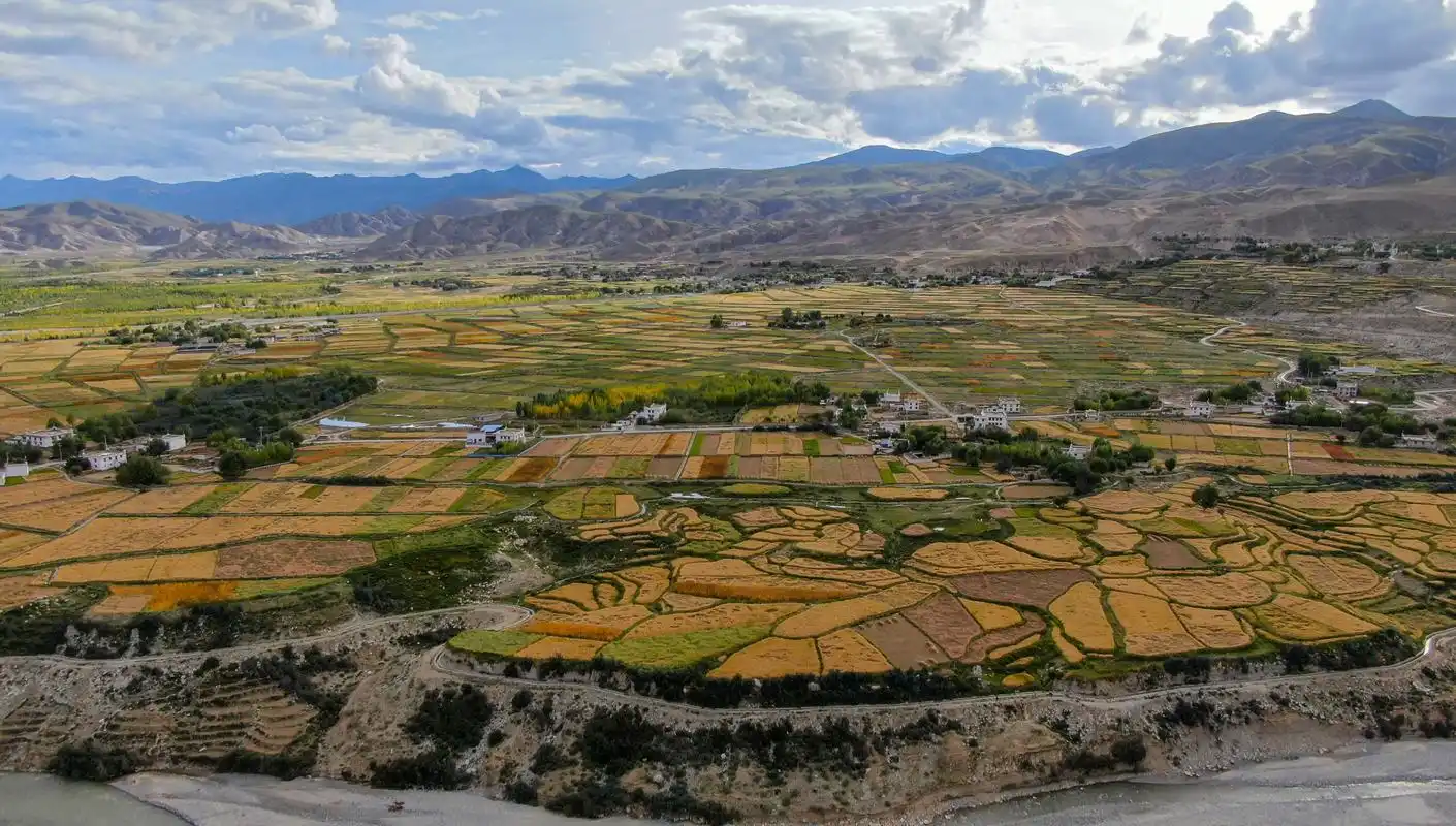 五彩大地硕果丰尼木玛曲河和两岸错落有致的农田(9月13日无人机拍摄)