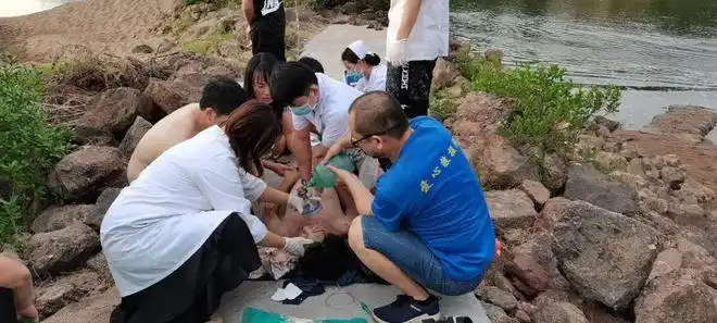 年仅14岁,现场图曝光!|溺水|溺亡|救援队|吞人_网易订阅