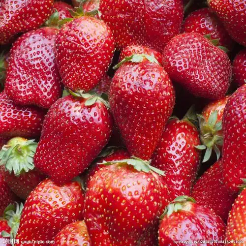 草莓摄影图__水果_生物世界_摄影图库_昵图网nipic.com