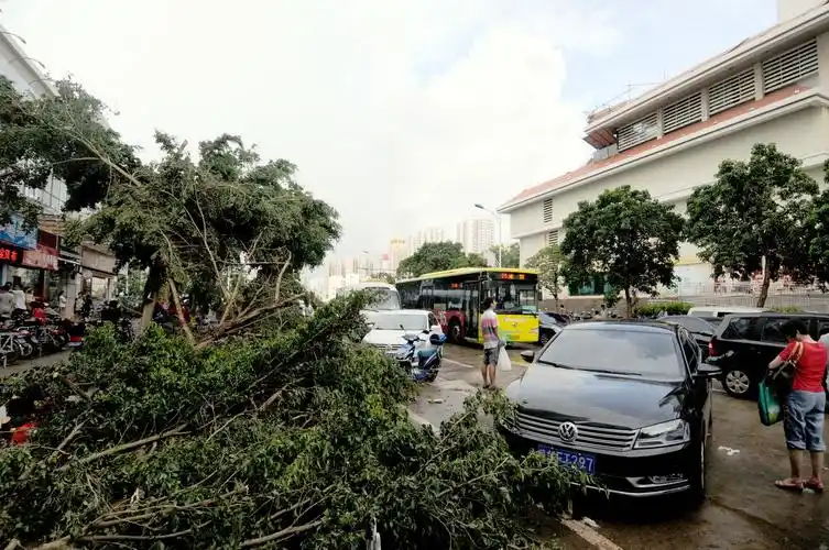 减贫救灾 减贫救灾图片     7月20日,超强台风"威马逊"登陆海南48小时