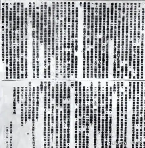 一张照片,承载着惨痛的历史事件,激起了90多年前中国人民的民族愤慨