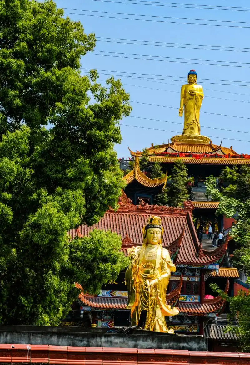 趁着春风,一起打卡成都新津花源的白云寺.