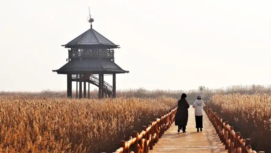 东营·黄河入海口湿地公园一日游