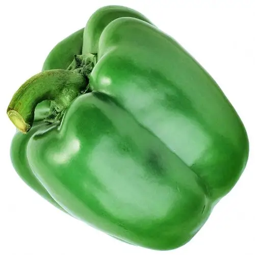 新鲜圆菜椒青椒灯笼椒青甜椒蔬菜青圆椒柿子椒