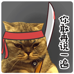 猫咪喵星人你敢再说一遍愤怒大刀gif动图_动态图_表情包下载_soogif