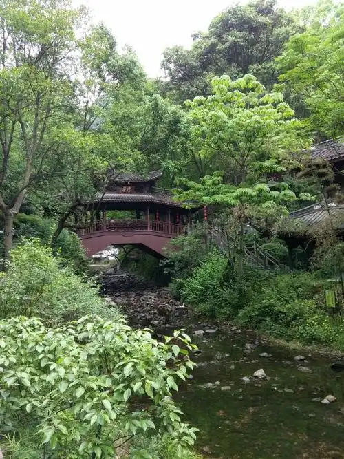 游国家4a级风景区丽水白云山森林公园2017.5.8.