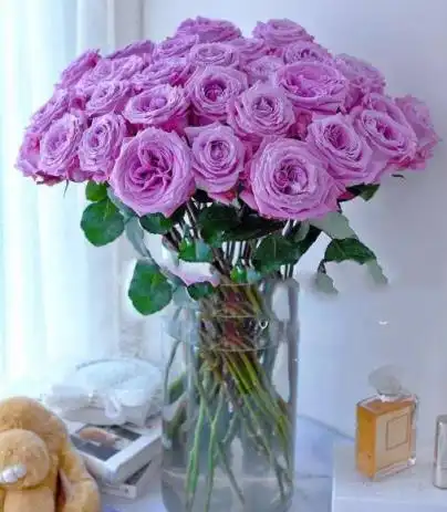 忧郁梦幻的爱庄严肃穆道歉爱做梦等紫色玫瑰本来就给人一种梦幻的感觉