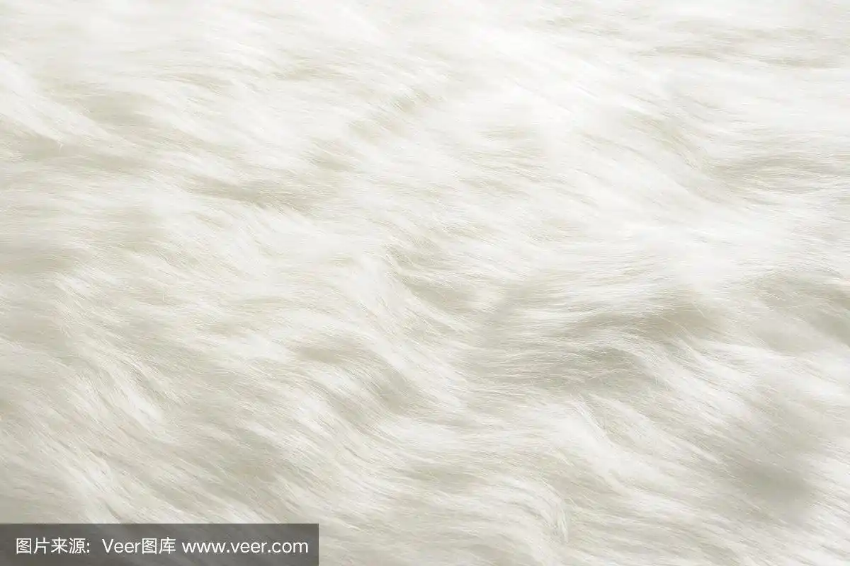 特写白色毛皮纹理背景