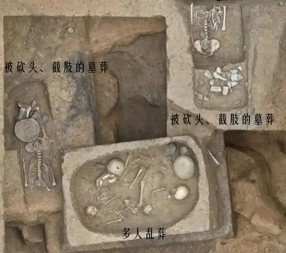 中华文明探源工程最新成果发布二里头是王朝阶段的都邑性遗址