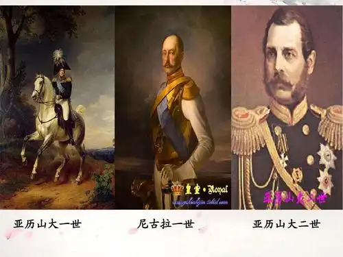 高中历史-选修1俄国农奴制改革ppt_word文档在线阅读与下载_免费文档