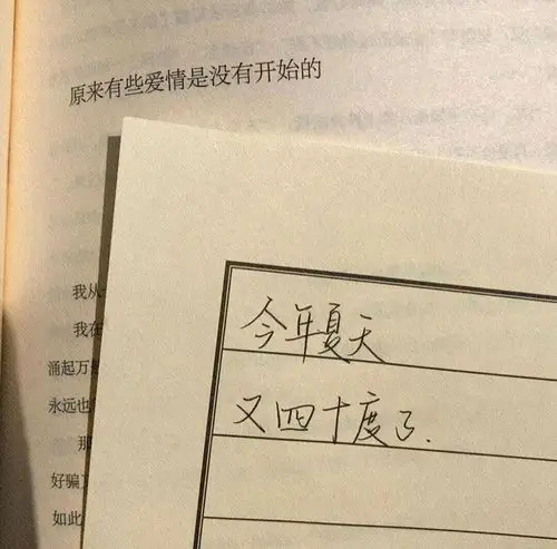 夏子衿优质手写句ins风背景图夏天