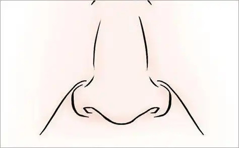 宝宝画鼻子简笔画