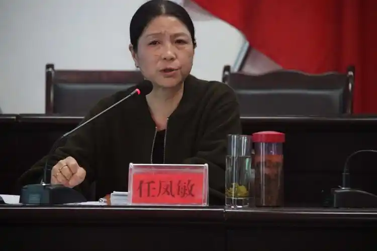 县纪委常委,县委巡察办任凤敏主任提巡察整改要求及工作安排