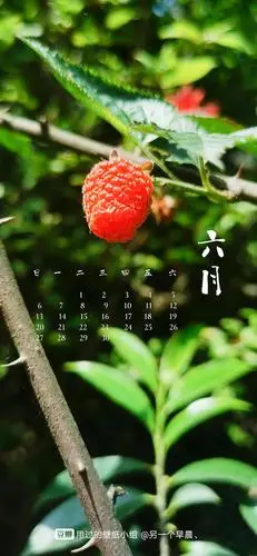 六月日历壁纸