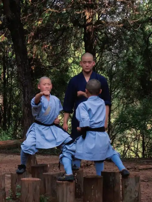 近距离看到了武僧们的日常练武与生活.#少林寺   #少林寺释延高