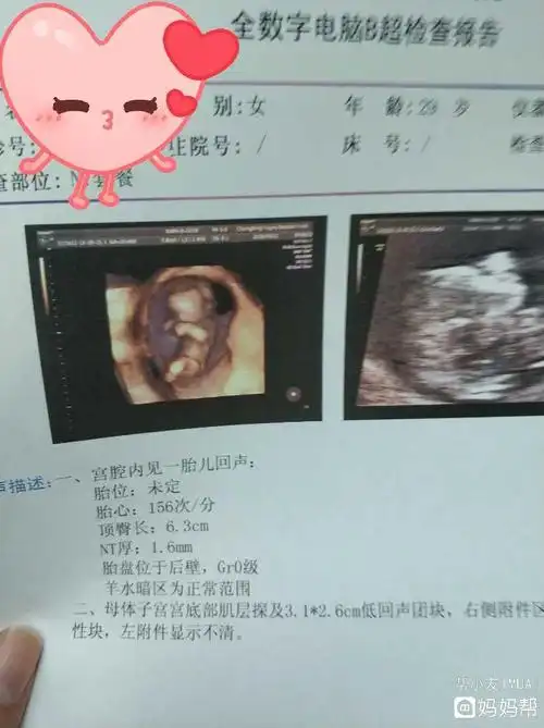 伤心!nt三个亮点是男孩女孩"把酒临风"-第1张图片-丸子博客