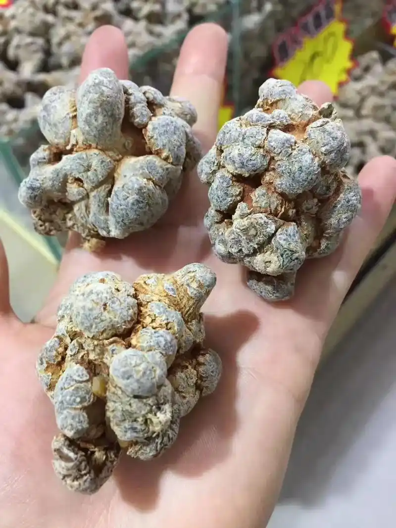 吃得三七苦,方知健康甜!精挑细选的好三七97无需美颜,无需 - 抖音