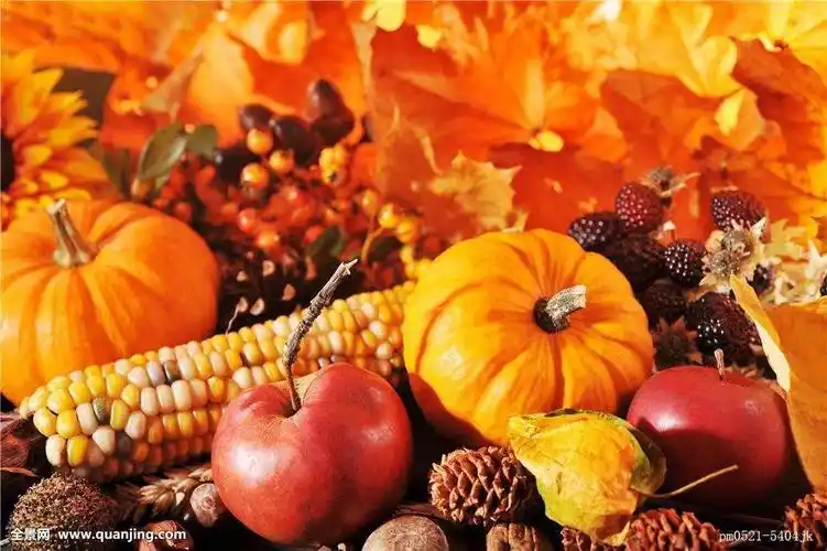 园秋天果实收集倡议书 写美篇     以下是我们将要收集的农作物种类