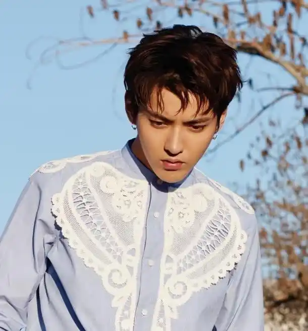 吴亦凡上节目征婚,其要求正好跟这位女星吻合?网友:我笑了!