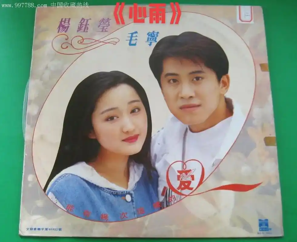 《心雨》当年的金童玉女演唱的经典歌曲#毛宁杨钰莹 #记这首歌 - 抖音