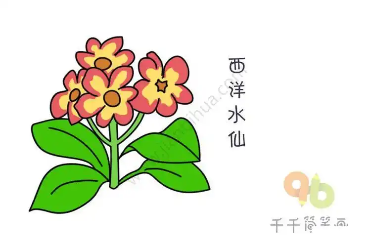 西洋水仙简笔画凤仙花生长的过程简笔画视频凤仙花简笔画儿童画简笔画