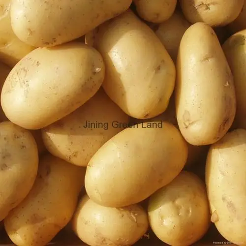 potato products - processed vegetable - diytrade china manufactu