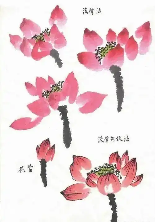 国画教程国画写意荷花画法