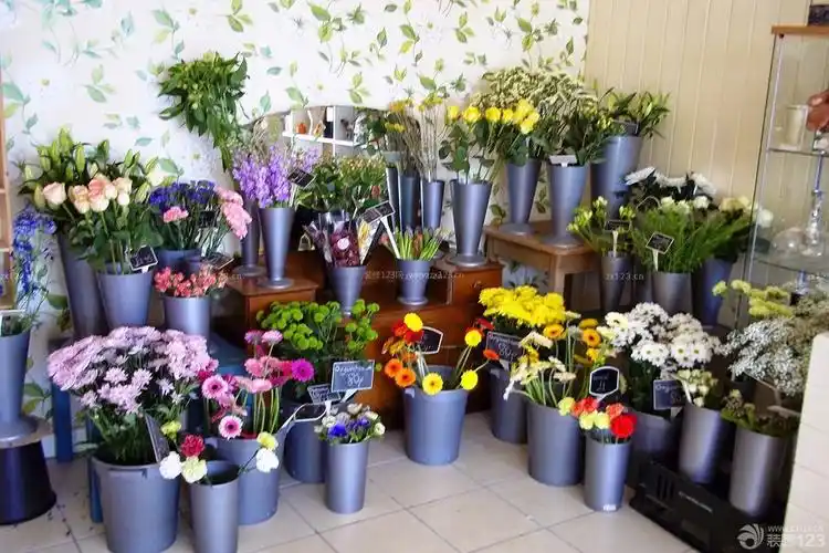 经典20平米花店陈列装修效果图片