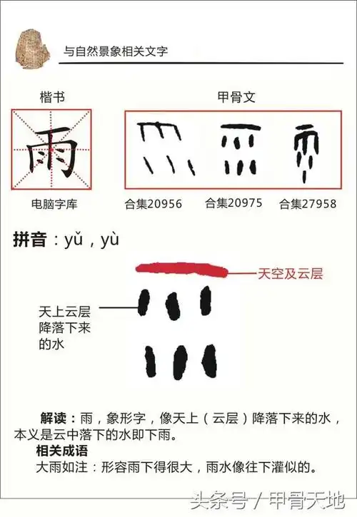 一日一字读甲骨:雨