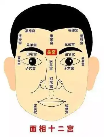 如果是外分八字纹,这样的人难以,全面解析印堂纹的面相图解印堂又被称