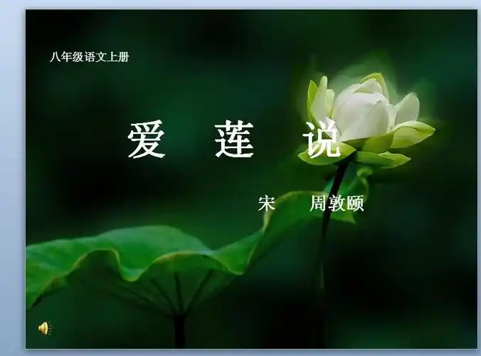 爱莲说原文及翻译ppt作品下载