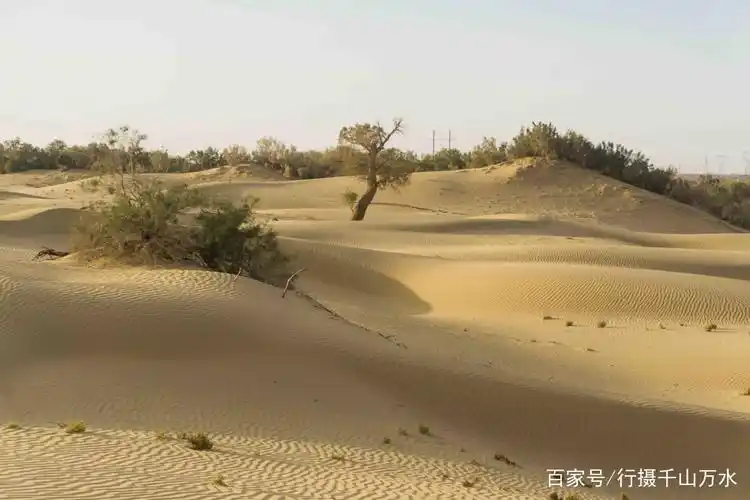 新疆塔克拉玛干大沙漠