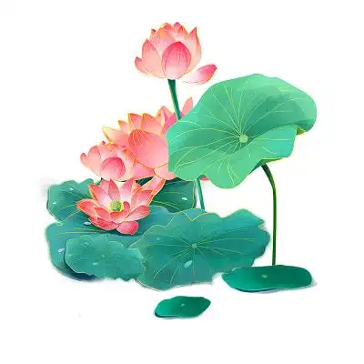 立夏卡通古风夏天荷花素材立夏荷花元素