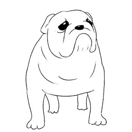 铅笔简笔画法国斗牛犬